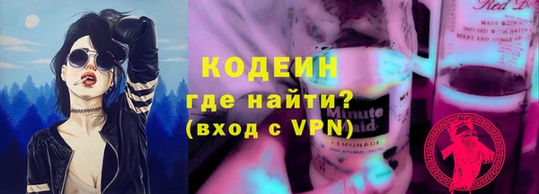 индика Балахна