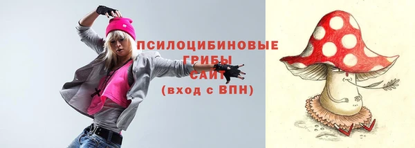 индика Балахна