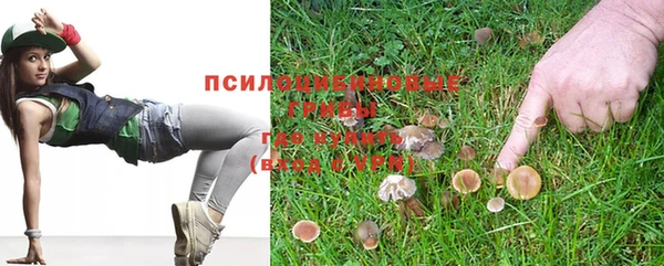 индика Балахна