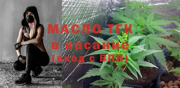 индика Балахна