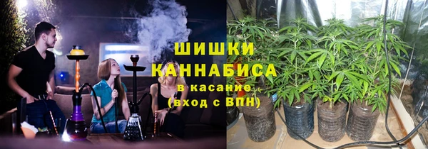 индика Балахна