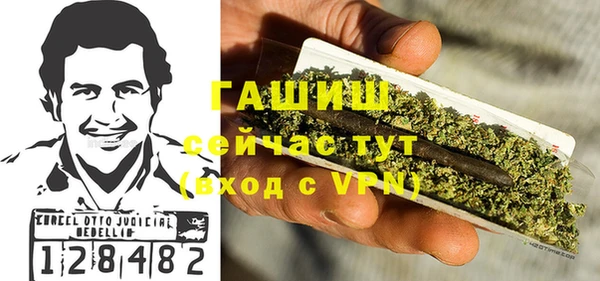 индика Балахна