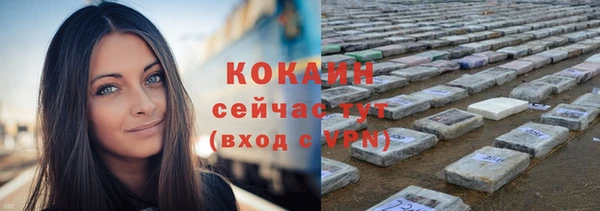 индика Балахна